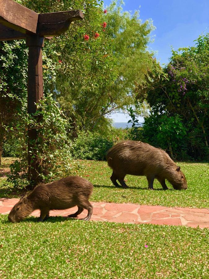 Posada Che Teindy โกโลเนีย คาร์ลอส เปลเลกรีนี ภายนอก รูปภาพ